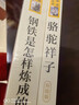 駱駝祥子+鋼鐵是怎樣煉成的（升級版） 人教版名著閱讀課程化叢書 七年級下套裝（共2冊）與25春新版初中語文教材配套使用（含微課，從教學角度講解名著；含閱讀筆記本，提供測評指導幫助提升整本書閱讀能力） 曬單實拍圖