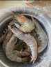 百年漁港海捕對蝦超大鹽凍只只分離白蝦  30-40規格 凈蝦重4斤 60-80只 曬單實(shí)拍圖