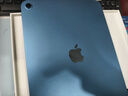Apple/蘋(píng)果 iPad11英寸 A16芯片2025年款 平板電腦 (256GB WLAN版/學(xué)習辦公娛樂(lè ))藍色 曬單實(shí)拍圖