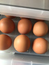 A級紅皮紅殼雞蛋大碼蛋新鮮農(nóng)村散養(yǎng)土雞蛋生鮮超市早餐雞蛋 A級紅殼雞蛋20枚55g±5g 曬單實拍圖