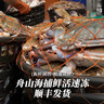 梭子蟹鮮活特大野生舟山大螃蟹海鮮新鮮冷凍海蟹水產(chǎn)飛蟹白蟹順豐 7-9兩/只 【凈重5斤特大梭子蟹】 曬單實(shí)拍圖