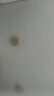 希樂(lè )扣 玻璃飯盒上班族帶飯微波爐加熱學(xué)生餐盒分隔便當盒大容量保鮮盒 曬單實(shí)拍圖
