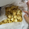 水果蔬菜百合新鮮25年宜興鮮百合食用百合微苦散裝卷丹產(chǎn)地直發(fā) 五斤散裝 3頭 曬單實(shí)拍圖