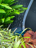 徹朗納米氣盤魚(yú)缸氧氣盤增氧霧化細(xì)化器氣泡石 綿密霧化【5cm+全套配件】 曬單實(shí)拍圖