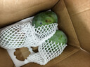 京覓攀枝花凱特甜芒果 8斤單果800g+ 應當季新鮮水果生鮮 源頭直發(fā) 曬單實(shí)拍圖