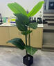 假樹(shù)發(fā)財樹(shù)仿真植物落地盆栽大型客廳盆景假花塑料花裝飾仿真綠植 1.2米綠巨人不帶盆送草 曬單實(shí)拍圖