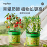 彌鹿（MiDeer）植物攀爬桶兒童植物種植生長(cháng)觀(guān)察盒科學(xué)實(shí)驗萬(wàn)物生長(cháng)-攀爬噸噸桶 曬單實(shí)拍圖