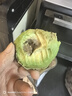山姆大叔 金獎·哈斯牛油果云南孟連【閃送】當季鱷梨非即食新鮮水果禮盒 【80%選擇】精品果丨約100-130g 6枚【20%選擇-較劃算】普裝 曬單實(shí)拍圖