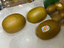 佳沛（zespri）新西蘭  陽(yáng)光金奇異果10粒禮盒巨大果單果約144-175g 水果 獼猴桃 曬單實(shí)拍圖