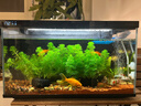 當(dāng)貝智能生態(tài)魚缸1SUltra 桌面魚缸+HIDOM增氧泵套餐 新老款隨機(jī)發(fā)貨 曬單實(shí)拍圖