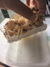 一蝦一世界鮮活熟凍皮皮蝦 新鮮蝦爬子瀨尿蝦大號爬爬蝦肉蝦婆肉 燒烤食材  大母全帶膏 2斤(凈重)  【約15cm】 曬單實拍圖