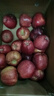 閩域尋鮮花牛蘋(píng)果水果【多地次日達】新鮮高原紅蛇粉面蘋(píng)果輔食蘋(píng)果 商超級：10斤回頭客多（單果70mm+）凈8.5斤 曬單實(shí)拍圖