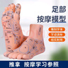 鈞匯刻字足療足部腳部足底經(jīng)絡(luò )穴位反射區圖按摩推拿模型腳底點(diǎn)穴工具 20厘米足模型 曬單實(shí)拍圖