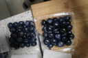 【JD/順豐】云南高山藍莓新鮮水果當季現摘2盒~6盒現摘鮮果整箱 中大果(果徑18mm+) 2盒(總凈重≥240g) 曬單實(shí)拍圖