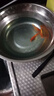 金魚活魚苗冷水紅草金觀賞魚小型淡水好養(yǎng)活魚養(yǎng)殖生態(tài)小魚缸泰獅 【4-7CM】紅草金隨機3條 曬單實拍圖