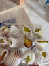甜盟 云南紅皮無花果【JD順豐上門-源頭直采】新鮮無花果鮮果當(dāng)季現(xiàn)摘 3斤凈重【品質(zhì)升級裝】 大果【單個40g+】 曬單實(shí)拍圖