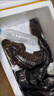 螢舞 娃娃魚(yú)鮮活 人工養殖可食用活體大鯢觀(guān)賞魚(yú)產(chǎn)地直發(fā)淡水魚(yú)生鮮 鮮活娃娃魚(yú)4斤一條 曬單實(shí)拍圖