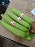 佳農進(jìn)口香蕉(JD/順豐送貨上門(mén))當季新鮮生鮮水果 凈重 3斤 大把香蕉 曬單實(shí)拍圖