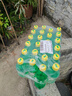 可口可樂(lè )（Coca-Cola）檀健次代言 雪碧 Sprite檸檬味汽水碳酸飲料300ml*24瓶 整箱裝 曬單實(shí)拍圖