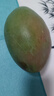 【新鮮上市】正宗攀枝花凱特芒果新鮮水果 帶箱2斤400g+（1-2個(gè)） 曬單實(shí)拍圖