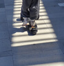 泰蘭尼斯童鞋幼兒園室內鞋秋季透氣防滑板鞋男女童不擠腳鞋子白/杏色28 曬單實(shí)拍圖