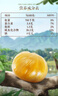 三只松鼠有機(jī)甘栗仁500g 熟制即食板栗仁栗子仁堅(jiān)果零食品 團(tuán)購(gòu)送禮 曬單實(shí)拍圖
