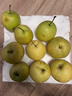 京覓河北皇冠青梨凈重4.5斤單果250g+新鮮水果源頭直發(fā) 曬單實(shí)拍圖