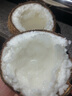 正宗即食糯米椰網(wǎng)紅新鮮水果【糯米椰子】新鮮水果名馬卡普諾整箱 【大大果1.6斤以上】一個(gè)糯米椰 曬單實(shí)拍圖
