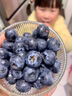 美月鮮云南藍莓當季鮮果護眼寶寶輔食水果 8盒【果徑18mm以下】?jì)糁?00g/盒 曬單實(shí)拍圖