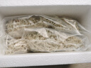 丁香魚(yú)干（小小銀魚(yú)）漁民自曬連云港發(fā)貨 500g【實(shí)惠】 曬單實(shí)拍圖
