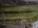 西芹約1kg 曬單實(shí)拍圖