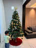 真圣誕樹(shù)真樹(shù)盆栽真正的圣誕樹(shù)香松樹(shù)挪威云杉樹(shù)苗鮮活的室內綠植 90-110厘米高圣誕樹(shù)真樹(shù)+盆+裝飾 【精品樹(shù)形】 曬單實(shí)拍圖