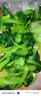 半山農42天月子水材料包順剖腹產(chǎn)小產(chǎn)后月子茶包坐月子氣血調理營(yíng)養補品 曬單實(shí)拍圖
