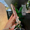 aixuan敦煌鹿適用蘋果17promax手機(jī)殼iphone保護(hù)套air新款帶手鏈掛繩全包防摔可斜挎手腕鏈女國潮高級感 短手鏈套裝*新中式氣質(zhì)串珠*敦煌九色鹿【步步生蓮】 iphone 17 Pro  曬單實拍圖