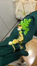 阿迪達斯 （adidas）半袖運動(dòng)服圓領(lǐng)純棉透氣寬松IK5092 A/M碼 曬單實(shí)拍圖
