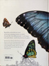 現(xiàn)貨 Sensational Butterflies   蝴蝶和飛蛾手繪百科 自然插畫師本·羅瑟里 精裝 上海外文書店 曬單實(shí)拍圖
