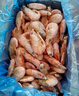 美加佳 加拿大熟凍北極甜蝦凈重400g 35-50只 北極甜蝦腹籽  熟凍甜蝦 曬單實(shí)拍圖