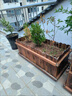 傲元防腐木花箱實(shí)木戶(hù)外庭院陽(yáng)臺種菜箱碳化木花盆正方形特大號種 定制專(zhuān)拍 ABS塑鋼大 曬單實(shí)拍圖