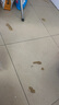 海爾（Haier）足療機腿部按摩器腳底腳部腿部小腿按摩儀送老年人長(cháng)輩父母親生日中秋節禮物送爸媽女友HQZ-Z221Z 曬單實(shí)拍圖