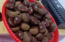 丹東新鮮板栗生栗子當季5斤現摘毛油栗子嫩板栗錐栗整箱生鮮蔬 9斤 【中果】?jì)糁?.5斤 曬單實(shí)拍圖