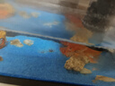 闊庭（KUOTING）魚(yú)缸一體缸自循環(huán)免換水魚(yú)缸家用小型桌面魚(yú)缸生態(tài)魚(yú)缸小魚(yú)缸黑色 曬單實(shí)拍圖