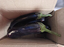 壽光農家紫茄子紫茄新鮮現摘生鮮超市蔬菜燒烤搭檔 三斤現摘綠把茄子 3斤 曬單實(shí)拍圖