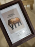 愛(ài)墨繪 6寸相框擺臺胡桃色空框帶玻璃立體相片框高級感相冊創(chuàng  )意照片框 曬單實(shí)拍圖