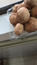 有機鮮香菇2斤/4斤裝 有機認證無(wú)農殘新鮮蘑菇營(yíng)養美味食用蘑菇燉 1kg 曬單實(shí)拍圖