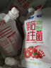 得益餐后益生菌專(zhuān)利活性低溫酸奶可做希臘酸奶源頭直發(fā) 【新口味嘗鮮】山楂番茄味180g*10袋 曬單實(shí)拍圖