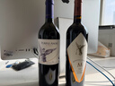 MONTES蒙特斯歐法M干紅葡萄酒智利原瓶進(jìn)口紅酒750ml*1 曬單實(shí)拍圖