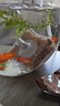 瘋狂水草電動(dòng)水妖精圓形小型魚(yú)缸過(guò)濾器循環(huán)泵三合一迷你過(guò)濾增氧一體靜音 白色迷你水妖精【帶氣泵套餐】 曬單實(shí)拍圖