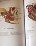 實(shí)用口腔解剖學(xué)圖譜（第2版） 曬單實(shí)拍圖