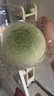 芙拉達(dá)雪妃爾魔法球羽毛手工diy編織長距離漸變羊毛長絨毯子花束毛線團 103新芽 【約200克大團】 曬單實拍圖
