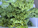 【明星蔬菜】新鮮羽衣甘藍榨汁涼拌輕食蔬菜超市品質(zhì)直播間同款 2斤帶箱 曬單實(shí)拍圖